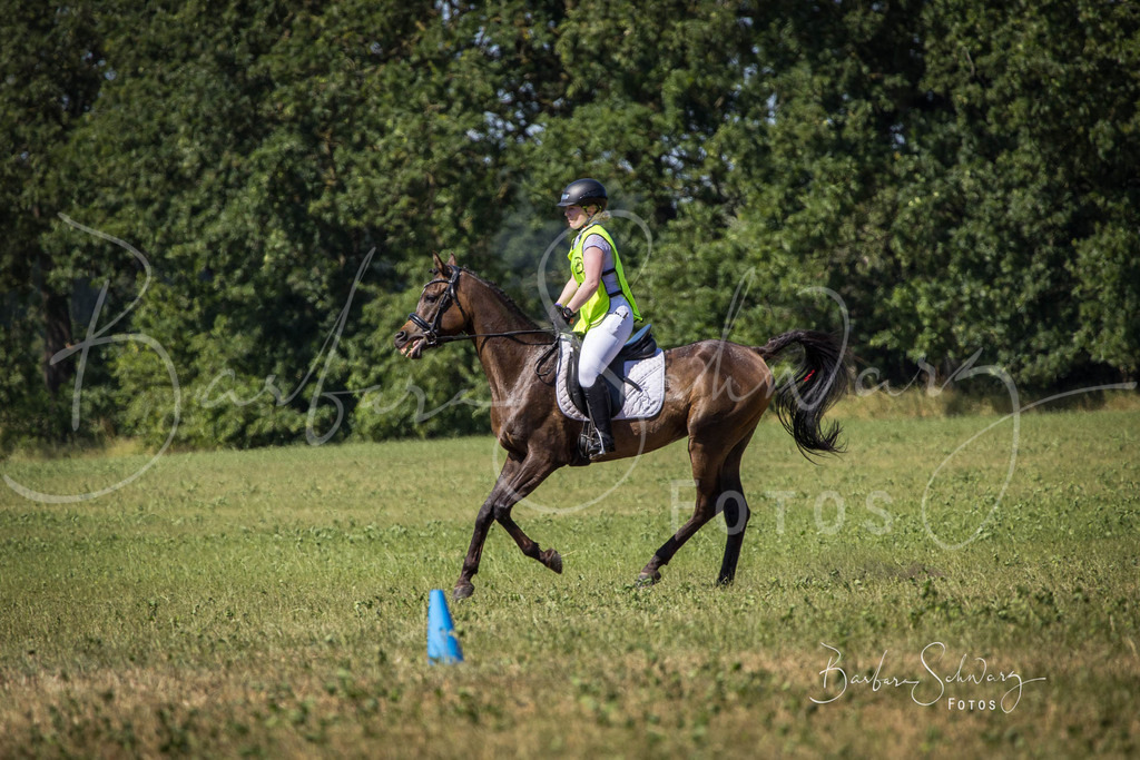 CJP_2026-06-26_162 | Stimmungsvolle Fotografie von Pferden, fotografische Begleitung von Veranstaltungen, Golfturnieren und Distanzritten - Realisiert mit Pictrs.com