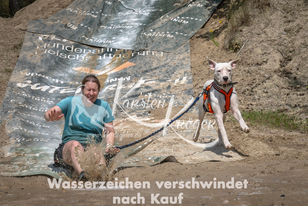 1446_ZZ90753 | kk-dogfotos