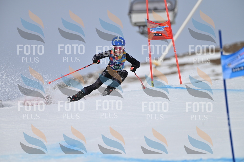 BGV_4370 | holidayphoto