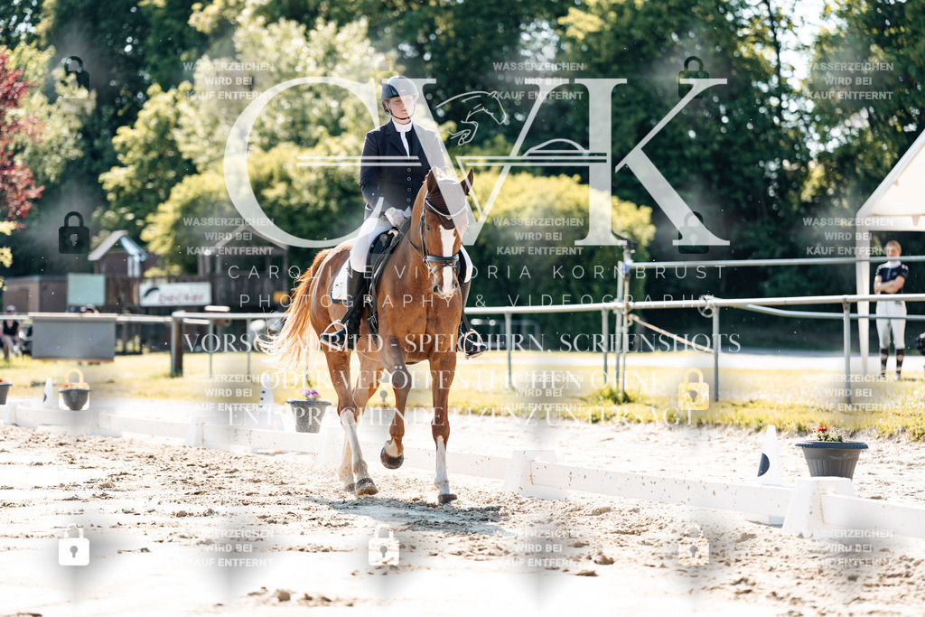 CK909328 | Turnierfotografie Pferdefotografie Trier Rheinland-Pfalz Pferdesport Reitsport Tierfotografie Sportfotografie Pferdevideo Pferdevideografie Equestrianvideography equestrianphotography  - Realisiert mit Pictrs.com