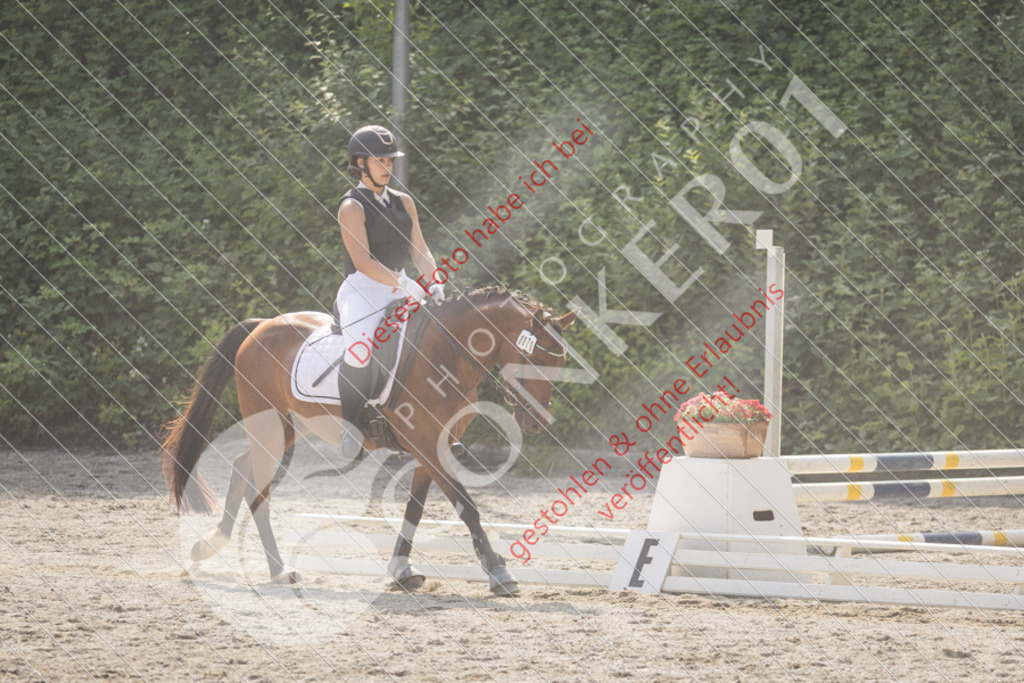 IMG_5813 | Sport-, Event- und Tierfotos in Profiqualität. Einfach auswählen, bestellen und herunterladen. Dein Moment – perfekt festgehalten.