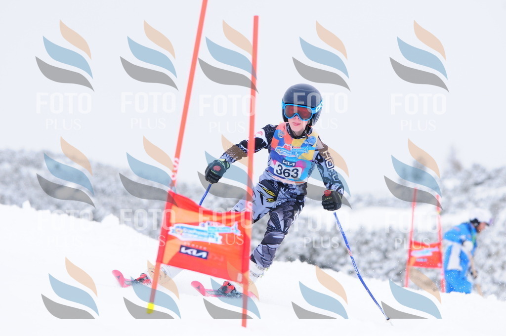 C3874 | holidayphoto