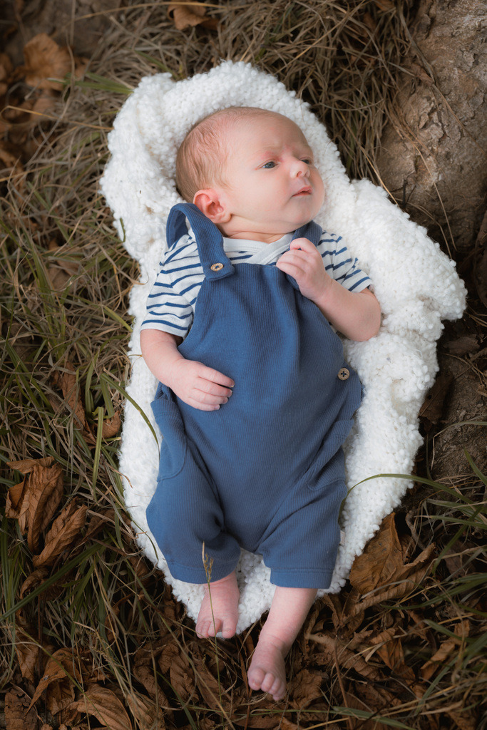 ZD260823162658 | Fotoshop von zweidimensional Fotografie. Ihr Fotograf im Aargau. Abzüge von Ihrem Fotobox Event bestellen.Abzüge von Ihrem Hochzeit bestellen.Abzüge von Ihrem Schulfotograf bestellen.