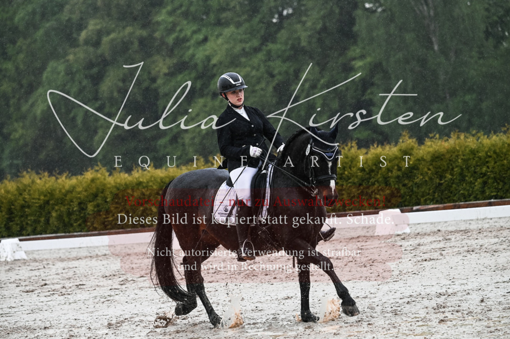 DSC_4677 | Pferde- und Turnierfotografie in Westsachsen. Pferdeportraits, Auftragszeichnungen und intuitive Kunst.