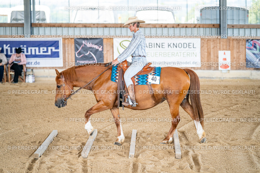 DSC02393 | Pferdegrafie