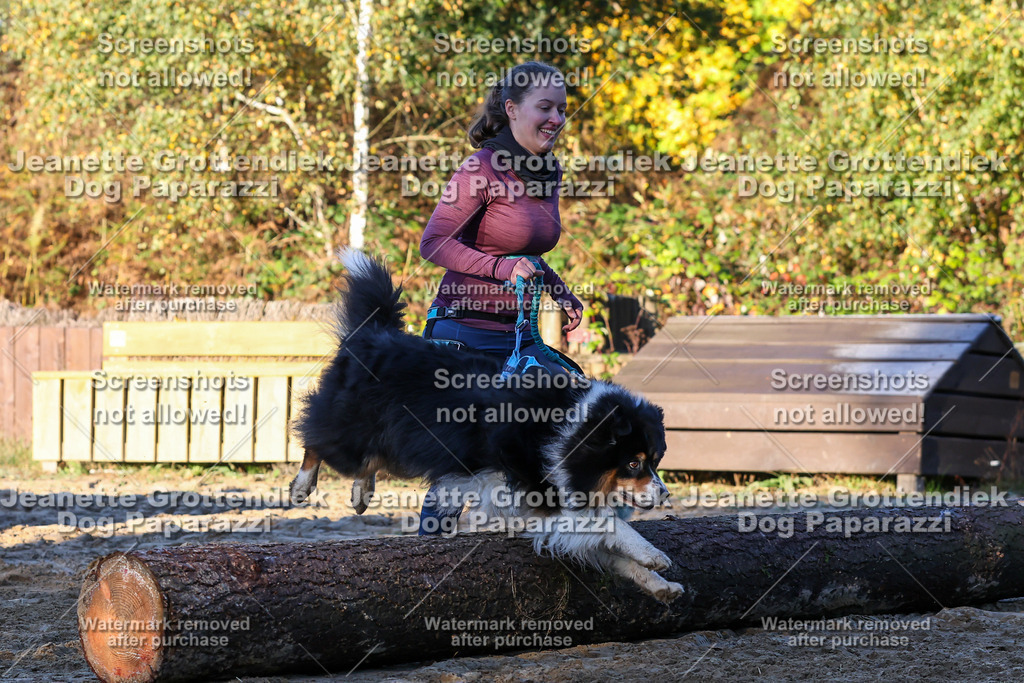 Dog Paparazzi - Strongdog 10-25-784 | Dog Paparazzi Jeanette Grottendiek Fotografie & Videografie - Realisiert mit Pictrs.com