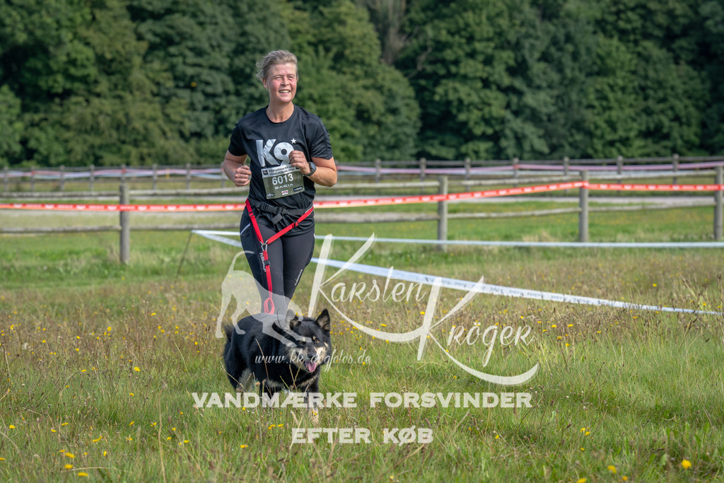 1150_ZZ90024 | kk-dogfotos