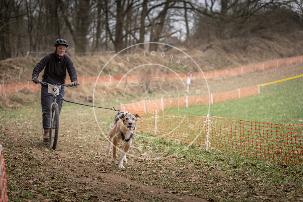 Pfotenfotografie_DV3A6658 | Hundefotografie, Tierfotograf, Pfotenfotografie, Fotoshooting Hund, Hunde Portrait, Hundesport, Hundeportraits, Heideshooting, Hunde, Sportfotograf, Hundefotograf, Turnierhundsport, THS,  - Realisiert mit Pictrs.com