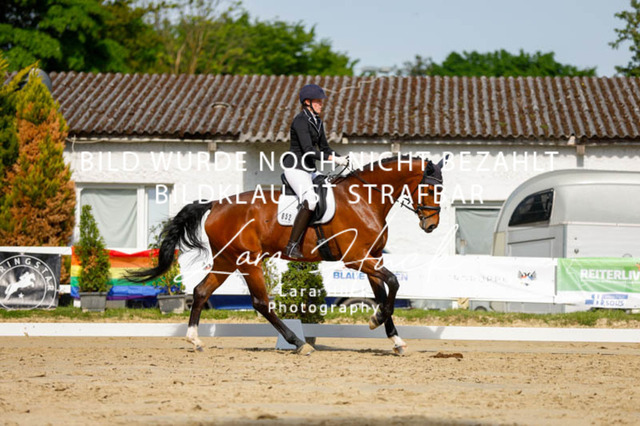 _62_2600 | larahueckfotografie