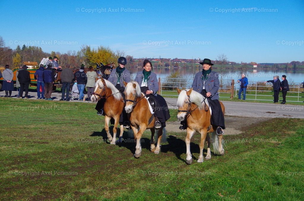 IMGP7562 | fotografiert von Axel PollmannLeonhardi Wallfahrt Benediktbeuern und Murnau, Fronleichnam, Fasching, Landschaft im Loisachtal und Benediktbeuern  - Realisiert mit Pictrs.com