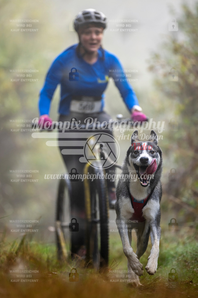 MompixPhotography_20TSB_E4_DS1-32 | PayLife