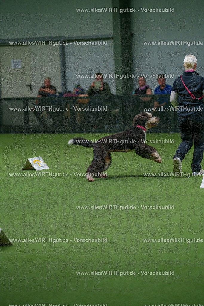 7R508062 | Professionelle Tierfotografie in Mönchengladbach von Daniel Wirth (allesWIRTHgut). Liebevolle & natürliche Bilder von Hunden & Katzen für unvergessliche Erinnerungen.