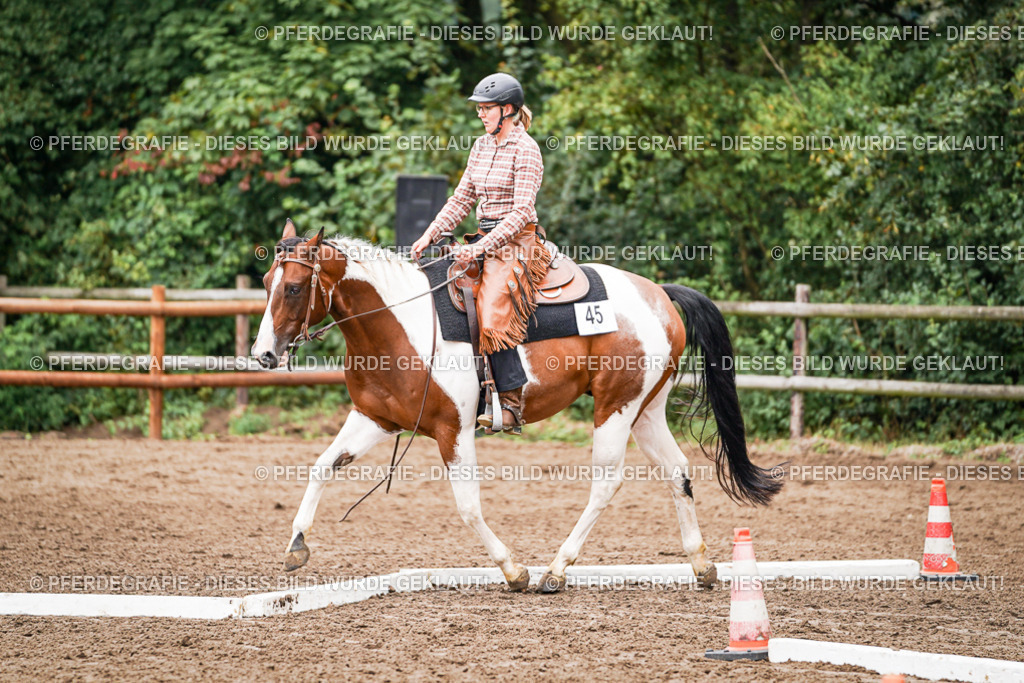 DSC04073 | Pferdegrafie