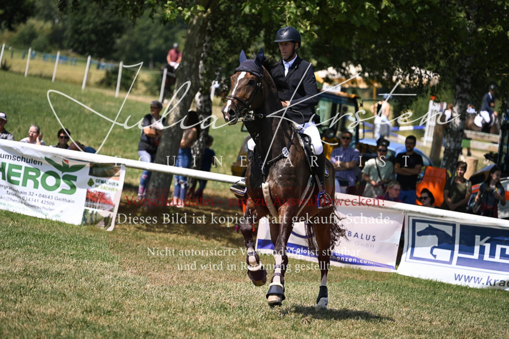 DSC_0272 | Pferde- und Turnierfotografie in Westsachsen. Pferdeportraits, Auftragszeichnungen und intuitive Kunst.