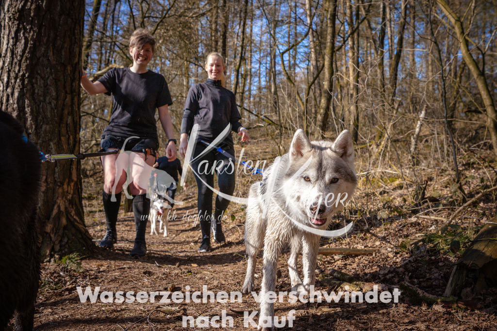 0927_ZZ98091 | kk-dogfotos