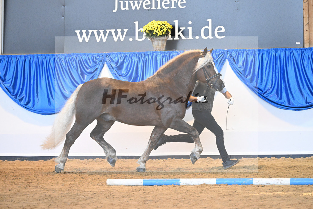 Kat-Nr. 119 Markward_HLG Marbach_53220856 | hf-fotografie - Realizzato con Pictrs.com