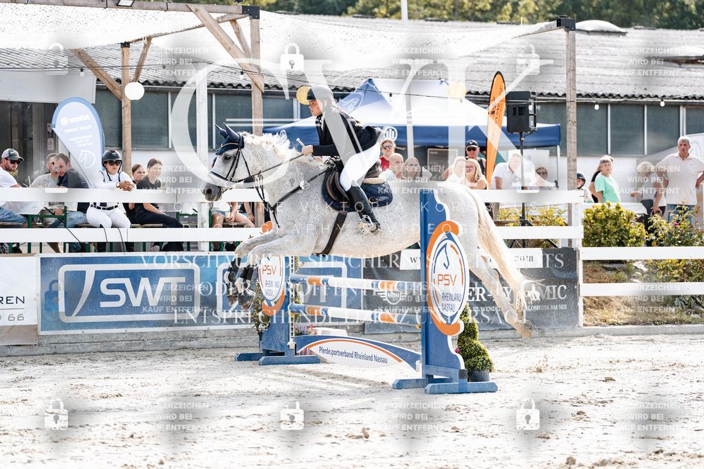 CK905494 | Turnierfotografie Pferdefotografie Trier Rheinland-Pfalz Pferdesport Reitsport Tierfotografie Sportfotografie Pferdevideo Pferdevideografie Equestrianvideography equestrianphotography  - Realisiert mit Pictrs.com