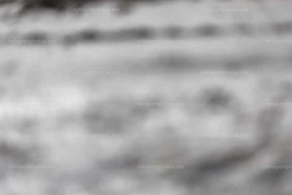 JoYaR3_Heidehof_00094 | JoYa Fotografie - Realisiert mit Pictrs.com
