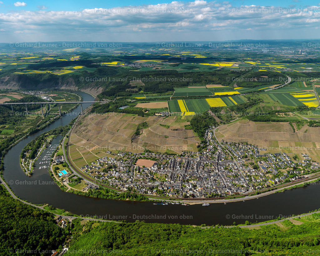 3117120 | Weinberge an den Hängen an der Mosel bei Winningen