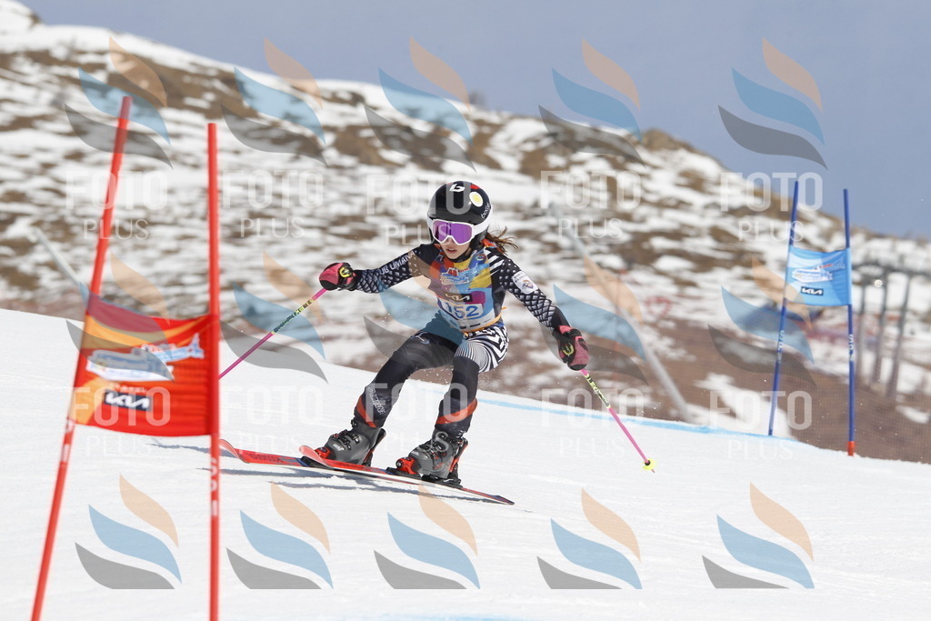 _U3G1263 | holidayphoto