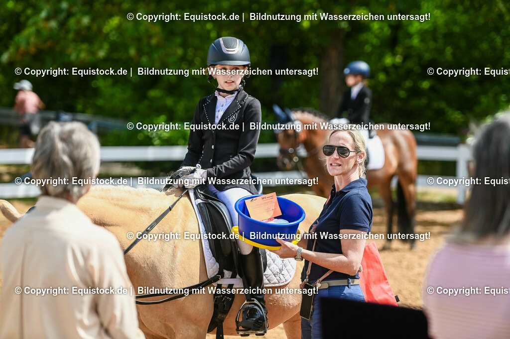 20230716_10-3_Reiter-WB Schritt - Trab - Galopp_0199 | equistock