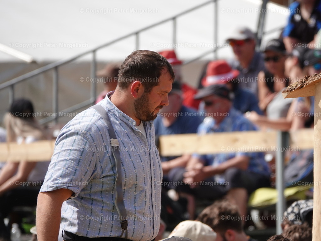 DSC07418 | Schwingen - Realisiert mit Pictrs.com