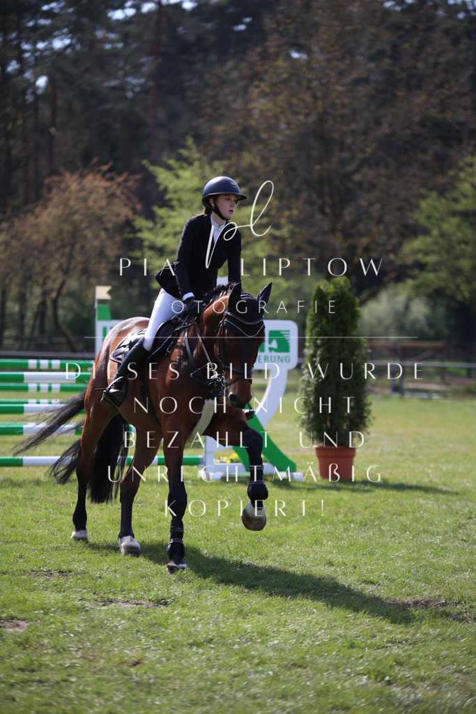 IMGT5884 | pl-fotografie