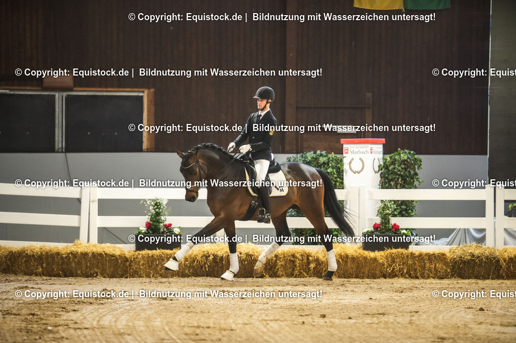 20240302_Hengstvorstellung_Marbach_TOMsPiC_0121 | equistock