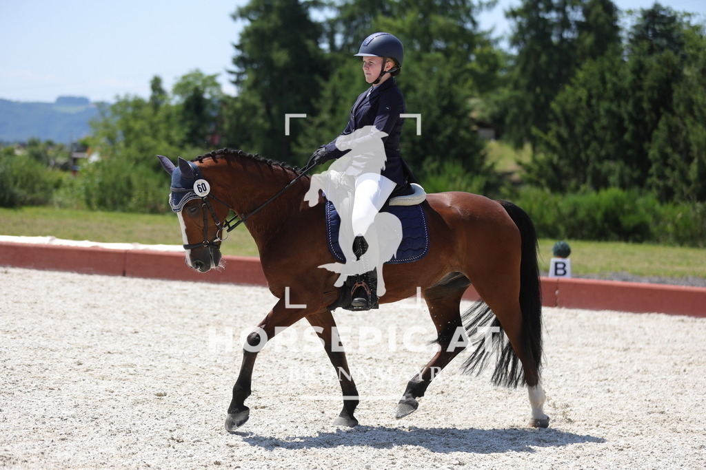 0P6A6328 | Willkommen bei Brunnmayr - Design & Fotografie – Ihrem Spezialisten für Reitturniere und Pferdeveranstaltungen in Oberösterreich, Salzburg und Bayern! Seit über 17 Jahren sind wir leidenschaftlich dabei.