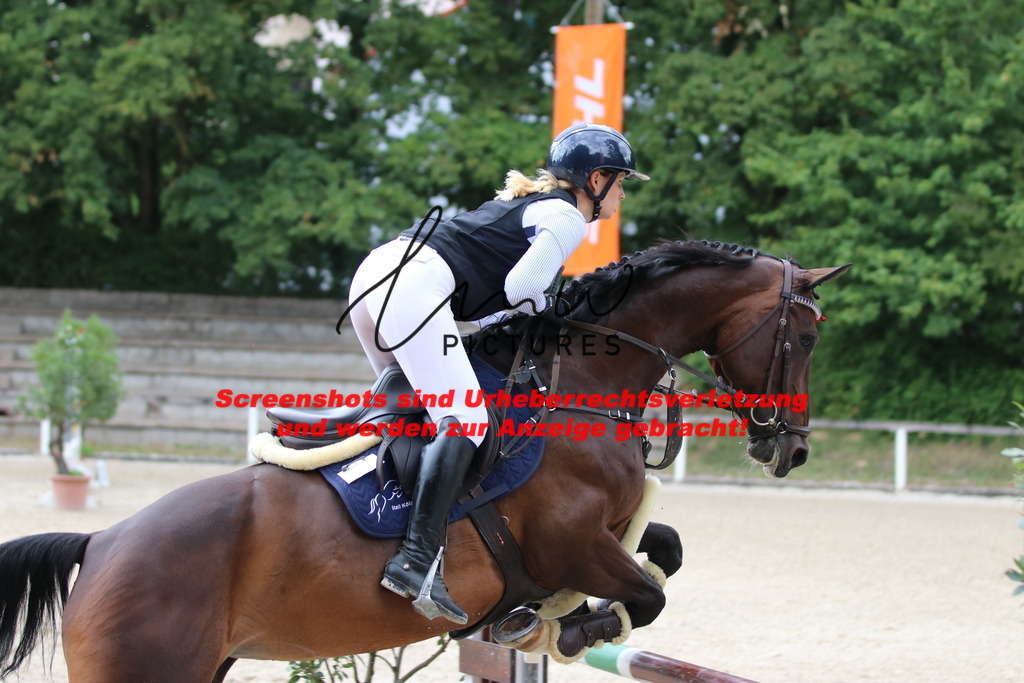 IMG_9996 | lmwpictures - Realisiert mit Pictrs.com