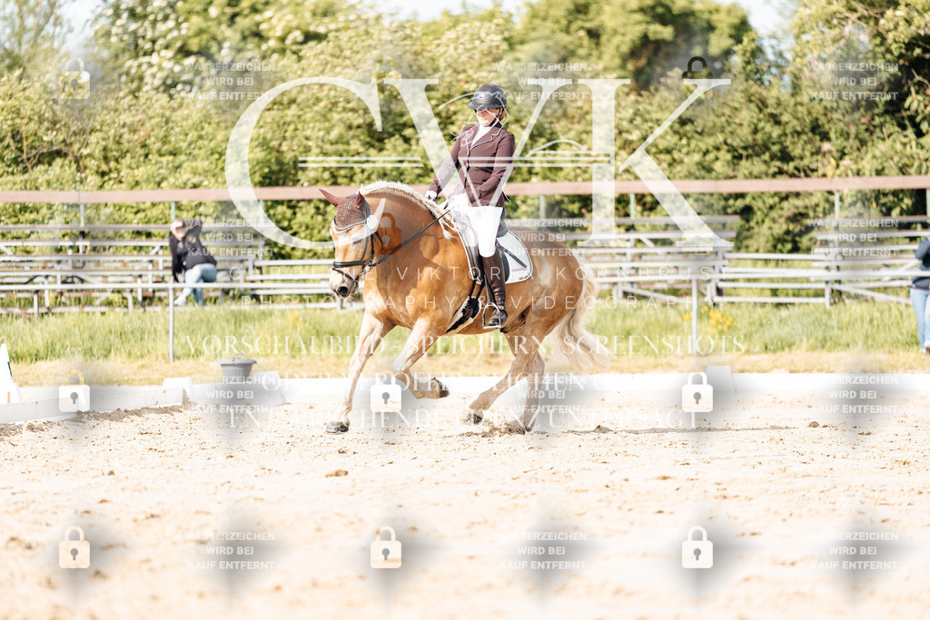 CK900230 | Turnierfotografie Pferdefotografie Trier Rheinland-Pfalz Pferdesport Reitsport Tierfotografie Sportfotografie Pferdevideo Pferdevideografie Equestrianvideography equestrianphotography  - Realisiert mit Pictrs.com