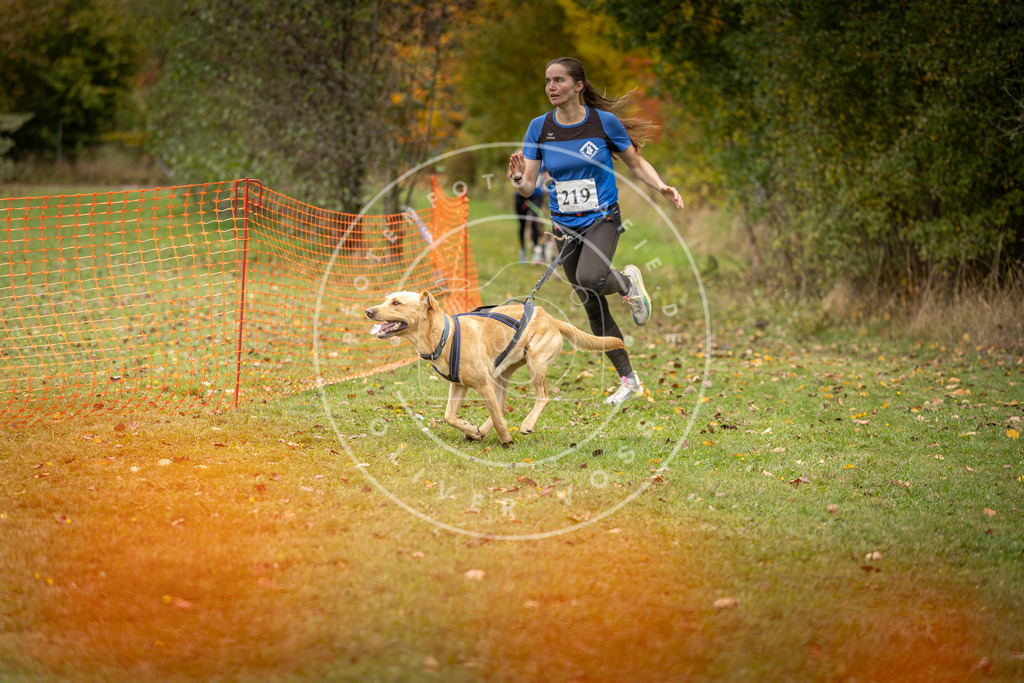Pfotenfotografie_DV3A4655 | Hundefotografie, Tierfotograf, Pfotenfotografie, Fotoshooting Hund, Hunde Portrait, Hundesport, Hundeportraits, Heideshooting, Hunde, Sportfotograf, Hundefotograf, Turnierhundsport, THS,  - Realisiert mit Pictrs.com