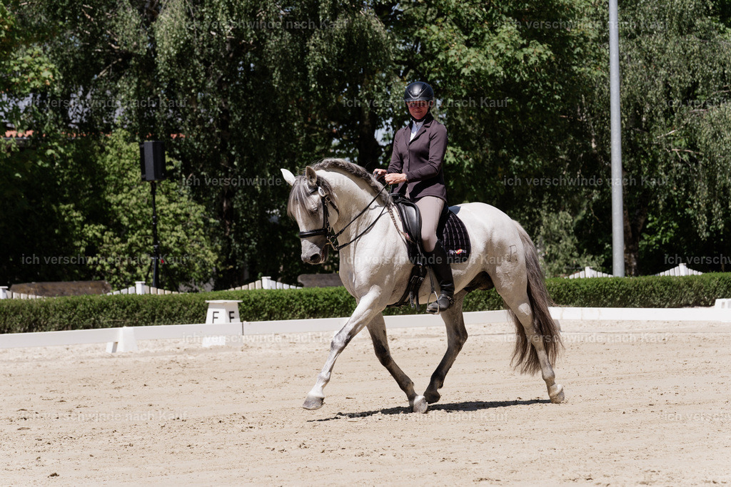 WS_DR_83_sinafilmart_IN08892 | working equitationturnier fotograf videograf stoibphotography marixx film working equitation deutschland reitsport turnierfotografie eventfotografie equestrian events