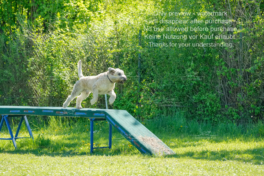 Sa_VK3_03-51 | stephaniefillaphotographie - Realisiert mit Pictrs.com