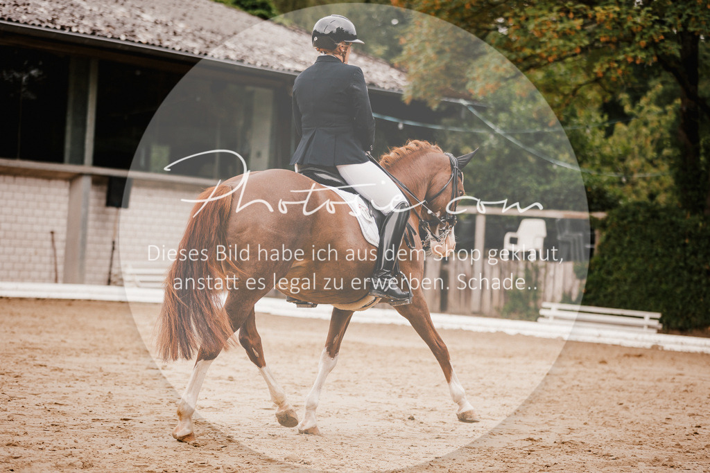 3I6A7788 | Stimmungsvolle Portraits und Reitsportfotografie im Ruhrgebiet und im Münsterland.

Pferdefotografie, Hundefotografie, Tierfotografie, Reportagen, Portraits von Tier und Mensch, Turnierfotografie in Bochum, Recklinghausen, Marl, Haltern am See, Dülmen.. - Realisiert mit Pictrs.com