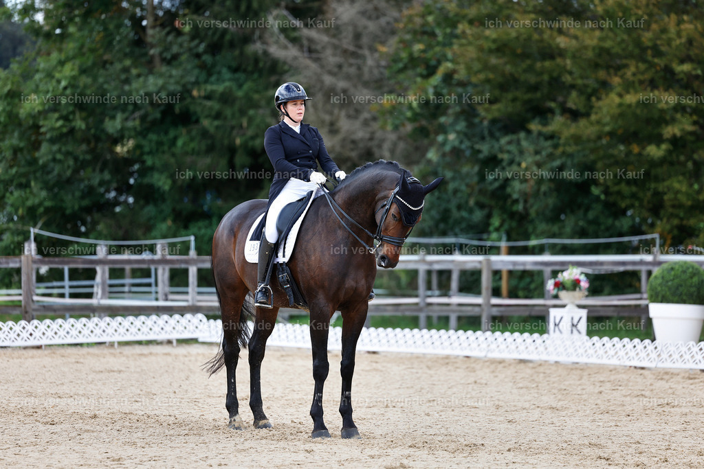 10-193-ST.GEORG SPECIAL -StoibPH-3257 | working equitationturnier fotograf videograf stoibphotography marixx film working equitation deutschland reitsport turnierfotografie eventfotografie equestrian events