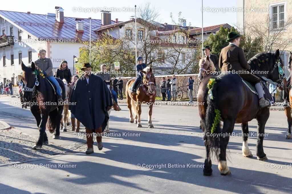 LL24-379 | foto-bettina-krinner - Realisiert mit Pictrs.com
