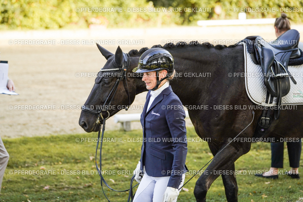 DSC05190 | Pferdegrafie