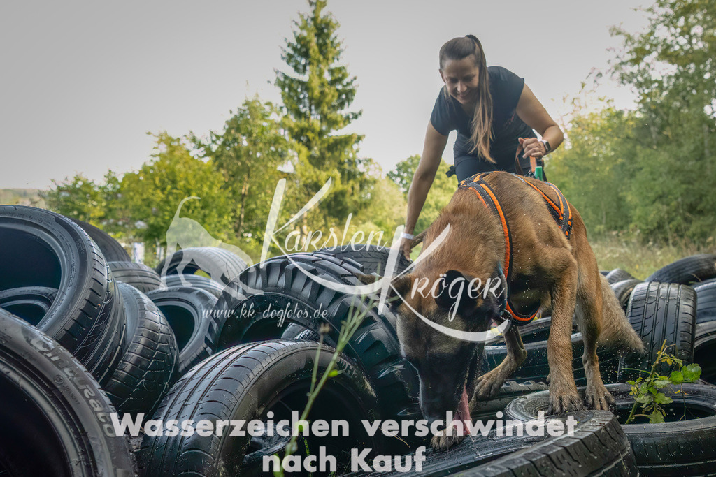 1100_ZZ91134-Bearbeitet-2 | kk-dogfotos