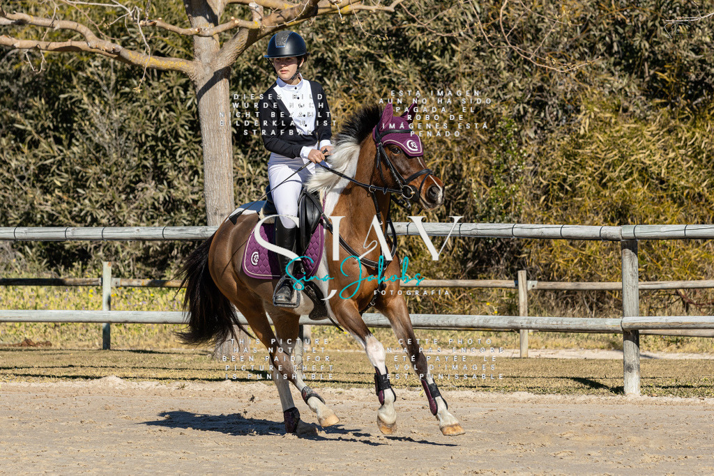 IMG_8487 | s-jay-photography - Realisiert mit Pictrs.com