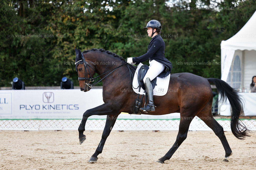 10-193-ST.GEORG SPECIAL -StoibPH-3256 | working equitationturnier fotograf videograf stoibphotography marixx film working equitation deutschland reitsport turnierfotografie eventfotografie equestrian events