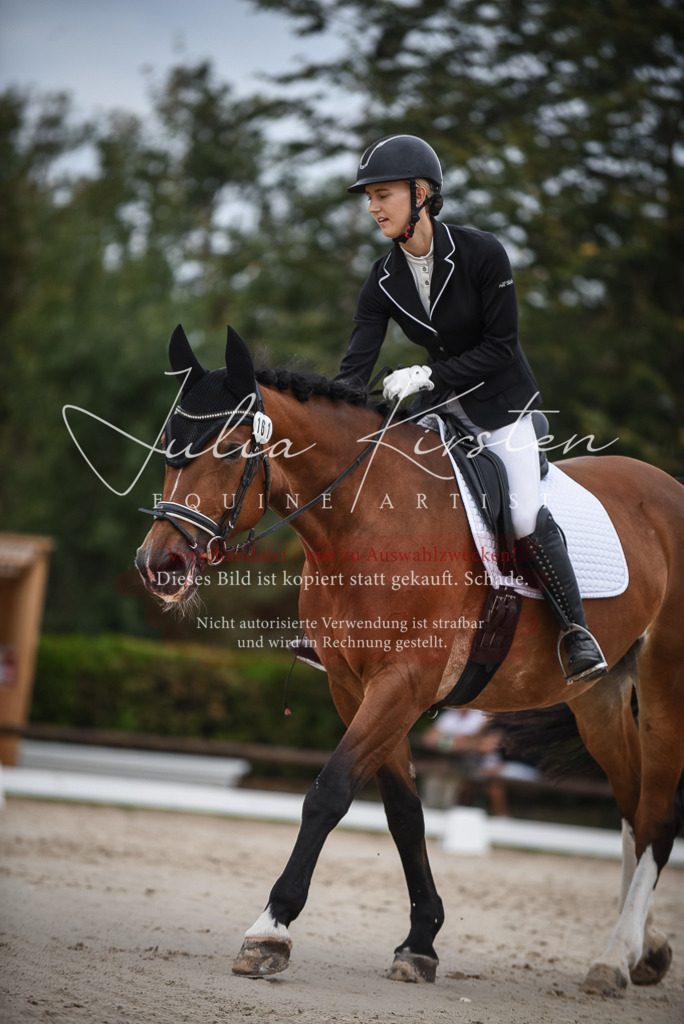 DSC_8291 | Pferde- und Turnierfotografie in Westsachsen. Pferdeportraits, Auftragszeichnungen und intuitive Kunst.