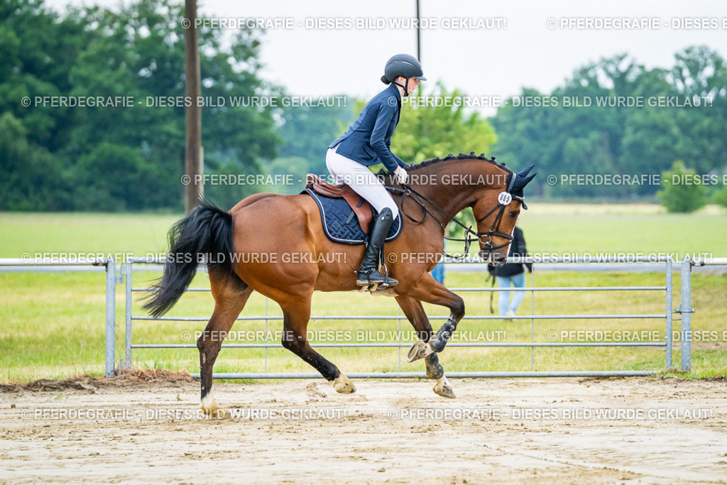 DSC02094 | Pferdegrafie