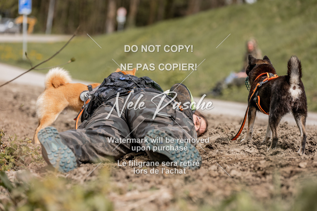 6Z1A2120 | nelerasche