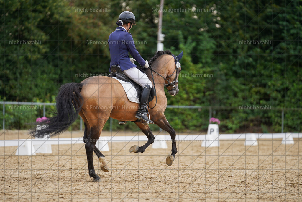 20240825-FAH00078 | Turnierbilder, Reitsportfotos, LAPO, Landesponyturnier, Turnierfotografen Bayern