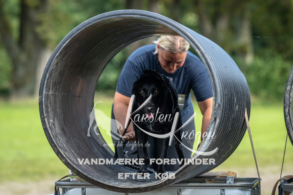 1327_ZZ93205 | kk-dogfotos