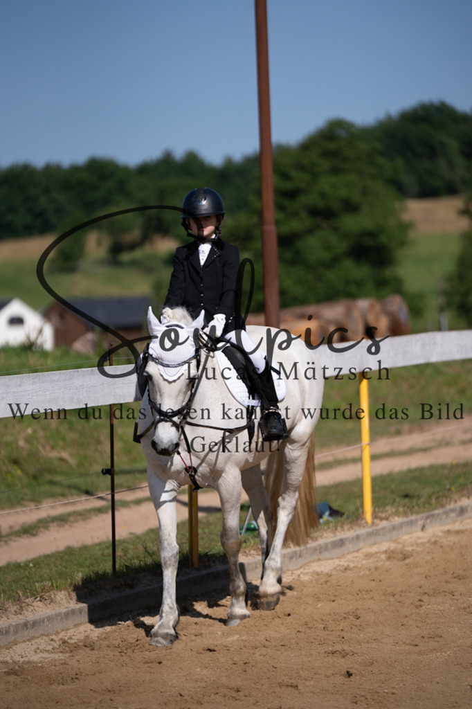 A7V07645 | Pferdefotograf