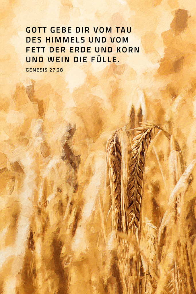 Gott gebe dir vom Tau des Himmels und vom Fett der Erde und Korn und Wein die Fülle.Gen 27,28 (L) | Monatsspruch Juni 2023