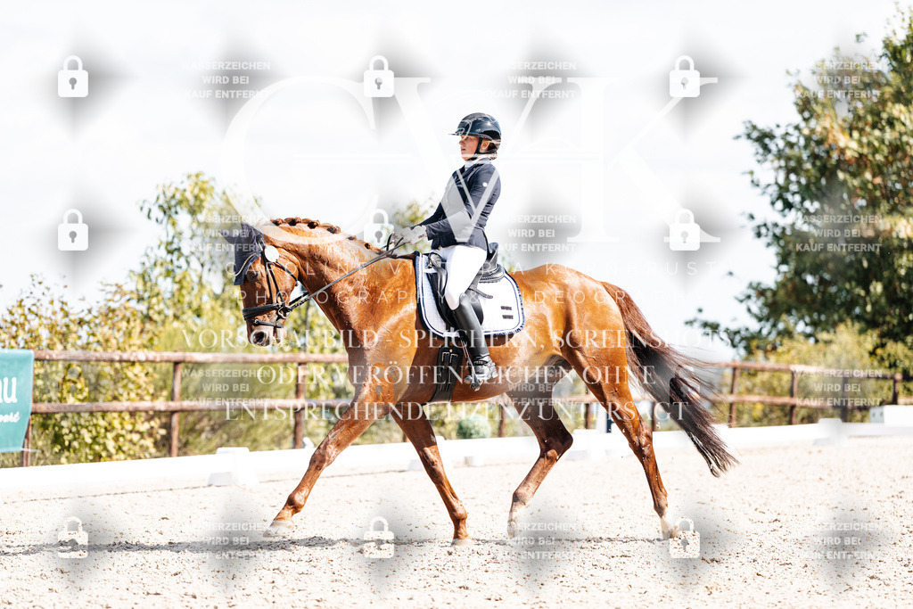 CK902616 | Turnierfotografie Pferdefotografie Trier Rheinland-Pfalz Pferdesport Reitsport Tierfotografie Sportfotografie Pferdevideo Pferdevideografie Equestrianvideography equestrianphotography  - Realisiert mit Pictrs.com