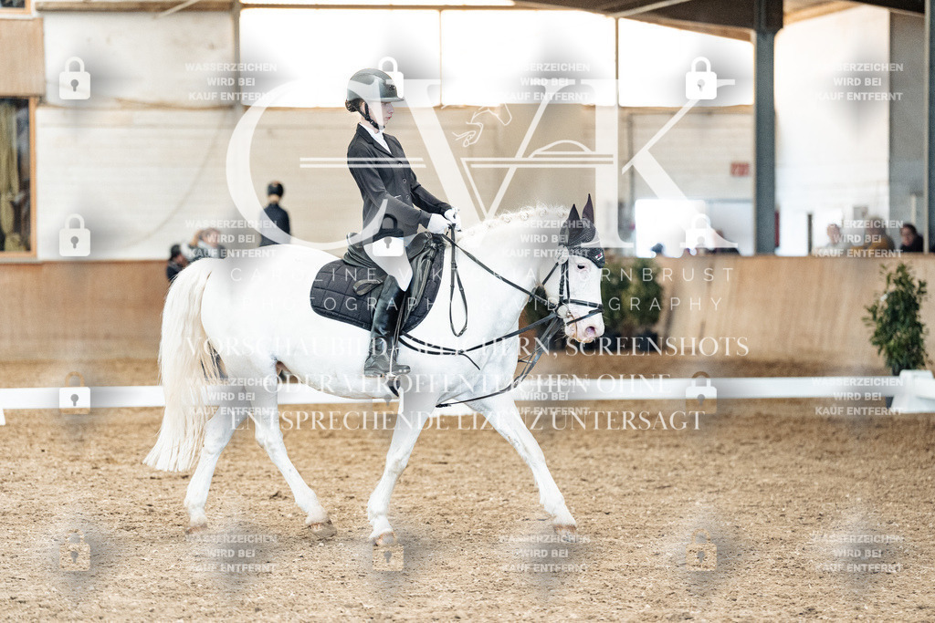 CK900342 | Turnierfotografie Pferdefotografie Trier Rheinland-Pfalz Pferdesport Reitsport Tierfotografie Sportfotografie Pferdevideo Pferdevideografie Equestrianvideography equestrianphotography  - Realisiert mit Pictrs.com